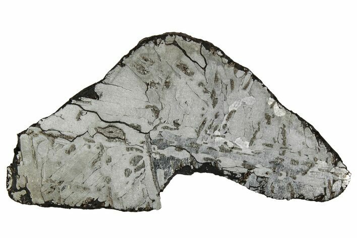 Etched Canyon Diablo Meteorite Slice ( g) - Arizona #356059